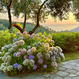  Appartamento Incanto